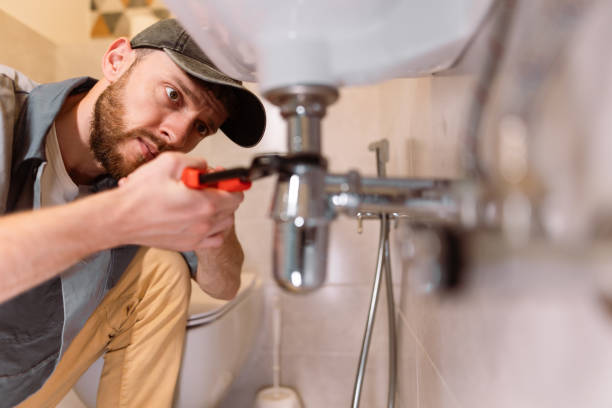 Best Local Plumber Services  in Alamosa East, CO
